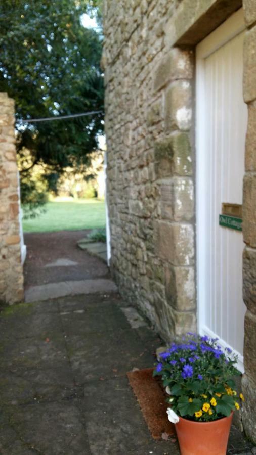 Owl Cottage ヘクサム エクステリア 写真