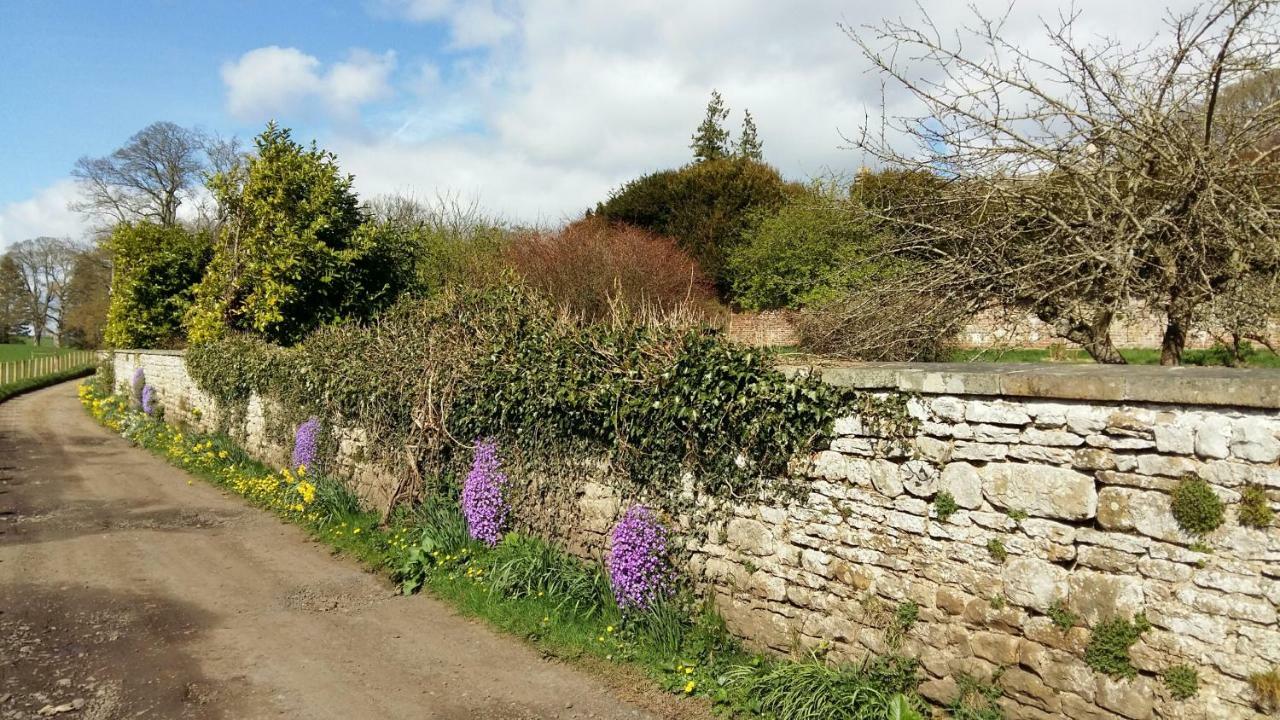 Owl Cottage ヘクサム エクステリア 写真