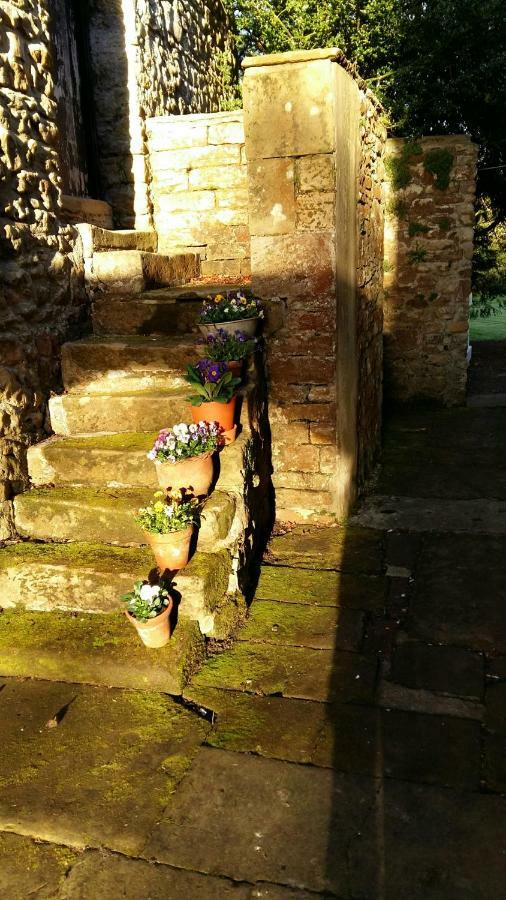 Owl Cottage ヘクサム エクステリア 写真